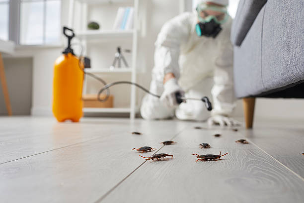 Commercial Kitchen Cockroach Control in Wilson